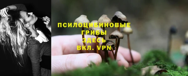 хмурый Алзамай