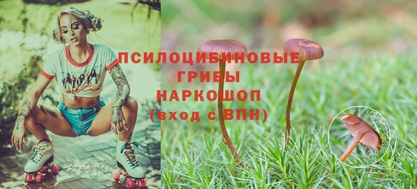 тгк Аркадак