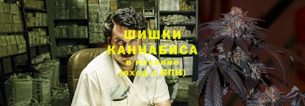 амф Арсеньев
