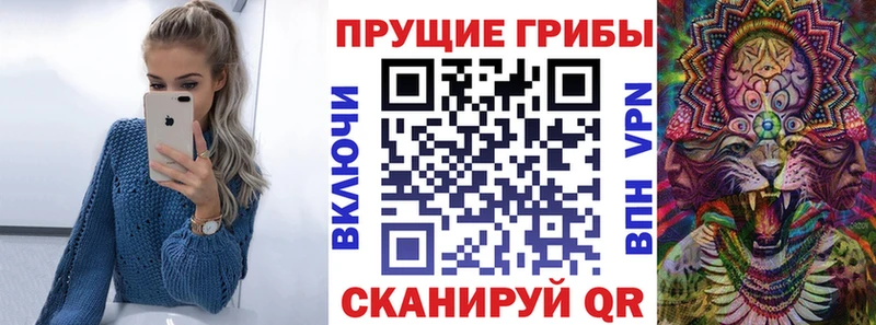 Галлюциногенные грибы Psilocybine cubensis  где купить наркоту  Кукмор 